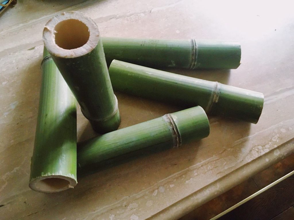 Стебли зелёного бамбука